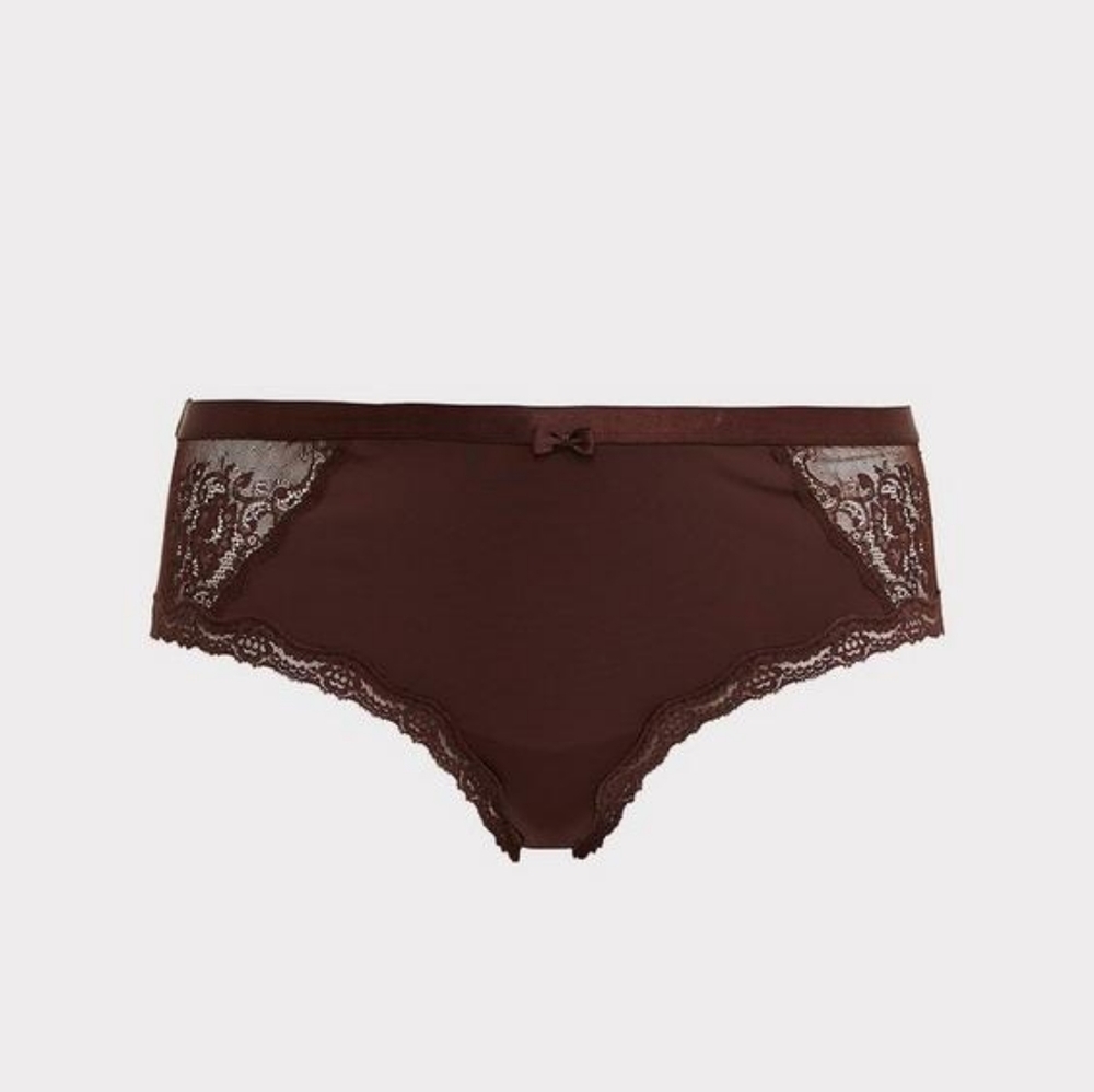 Torrid Size 2 Microfiber and Mesh Hipster Panties